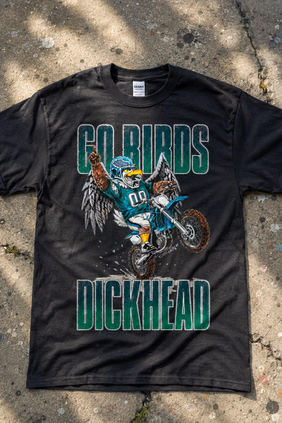 GO BIRDS