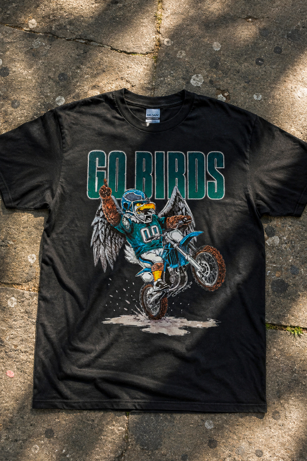 GO BIRDS