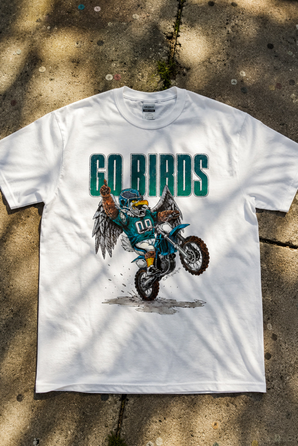 GO BIRDS
